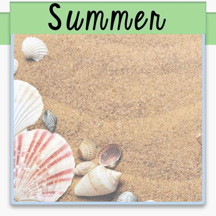 sandy beach with seashells in the lower left corner with text overlay summer