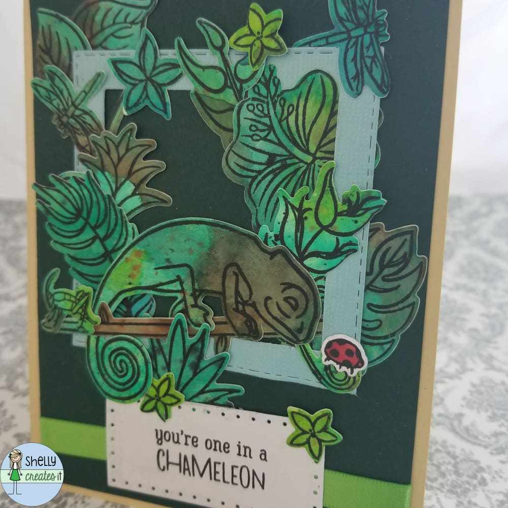 Chameleon Cards - Green base - Cards