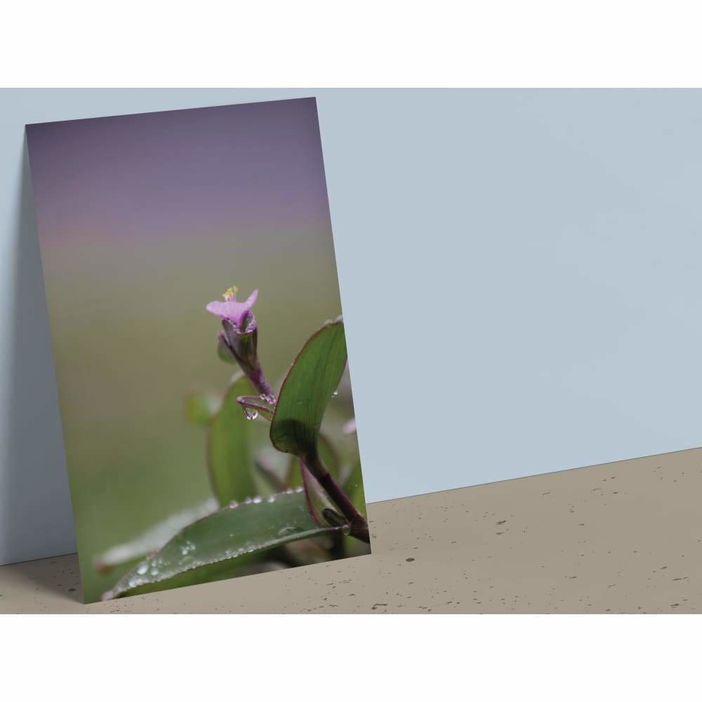 4x6 Postcard (set1) - Spring Flower - Cards