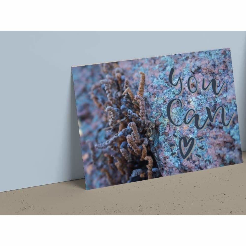 4x6 Postcard (set1) - You can, Enchanted Rock - Cards