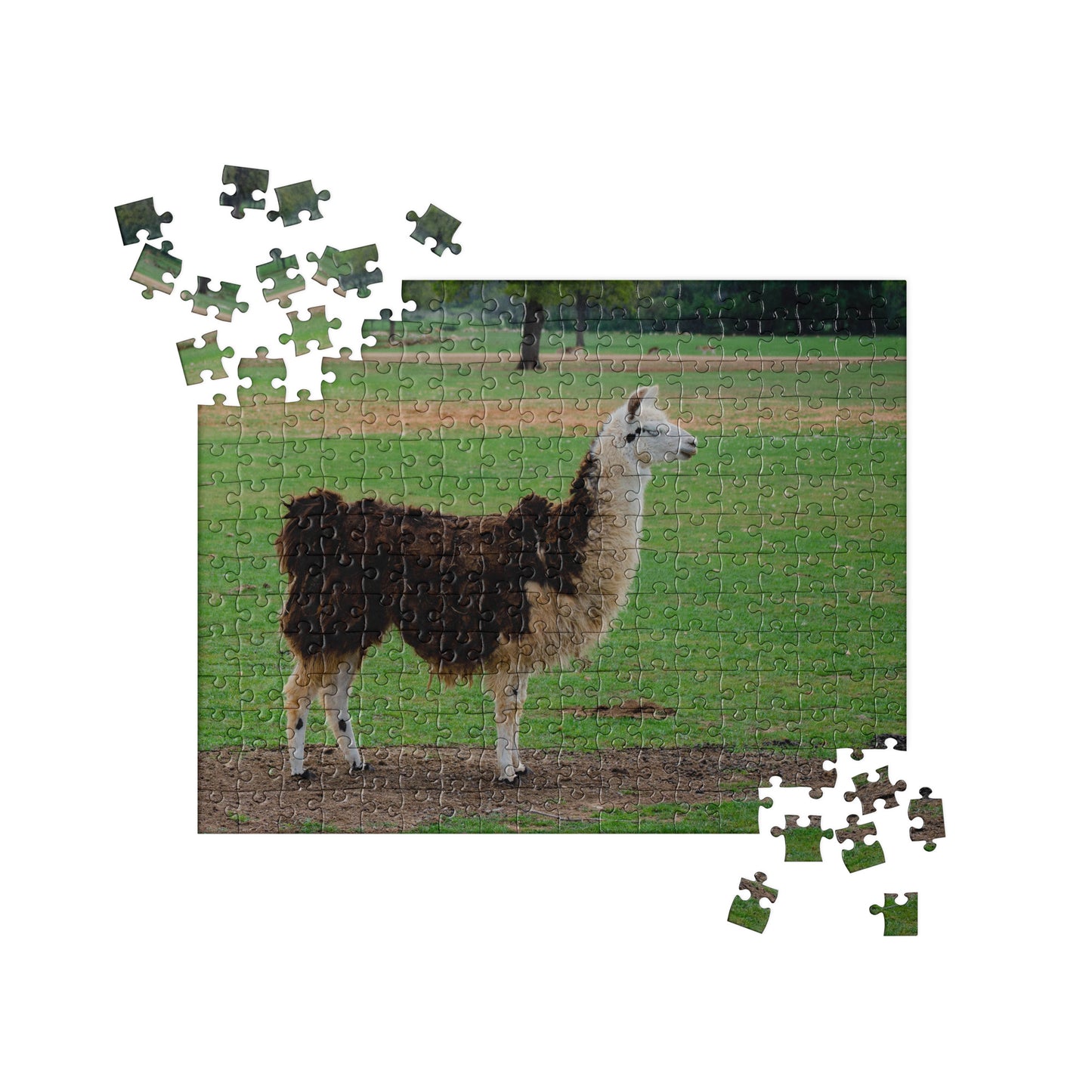 Happy Alpaca Jigsaw puzzle [252 Pieces]